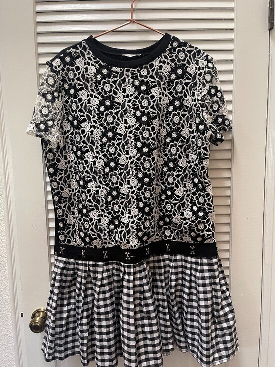 Zara Dresses & Skirts - Zara Trafaluc lace & gingham dress 🖤🤍